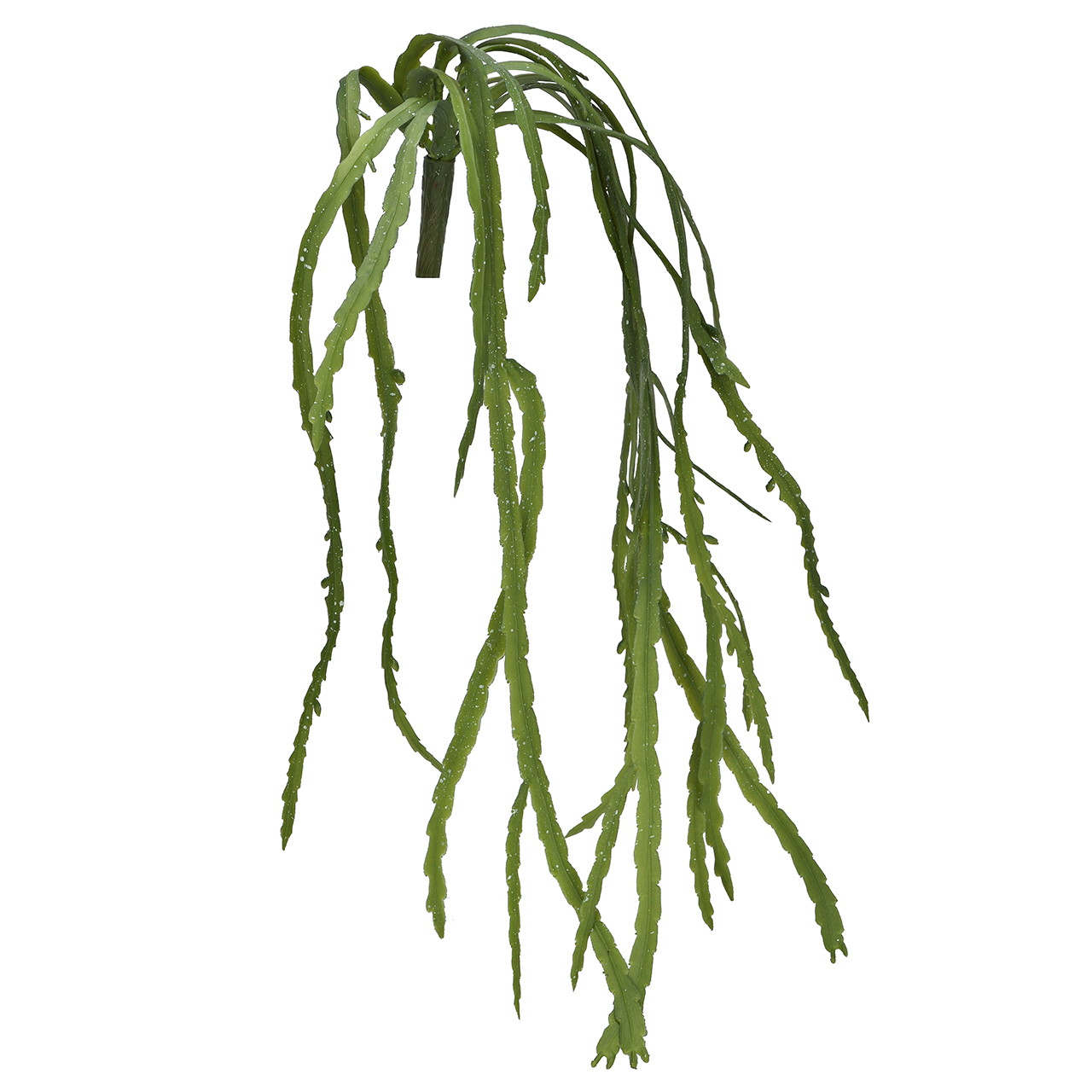 Cactus sospeso da 68 cm in plastica, verde grüne pflanzen, hängende pflanze, lange blätter, grüne reben, fernart