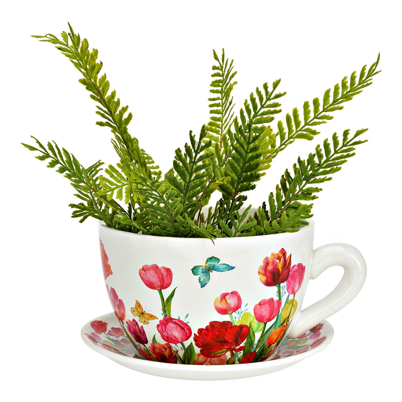 Pflanze, Blumen-Arrangement, Töpferei, Topfpflanze, Tasse