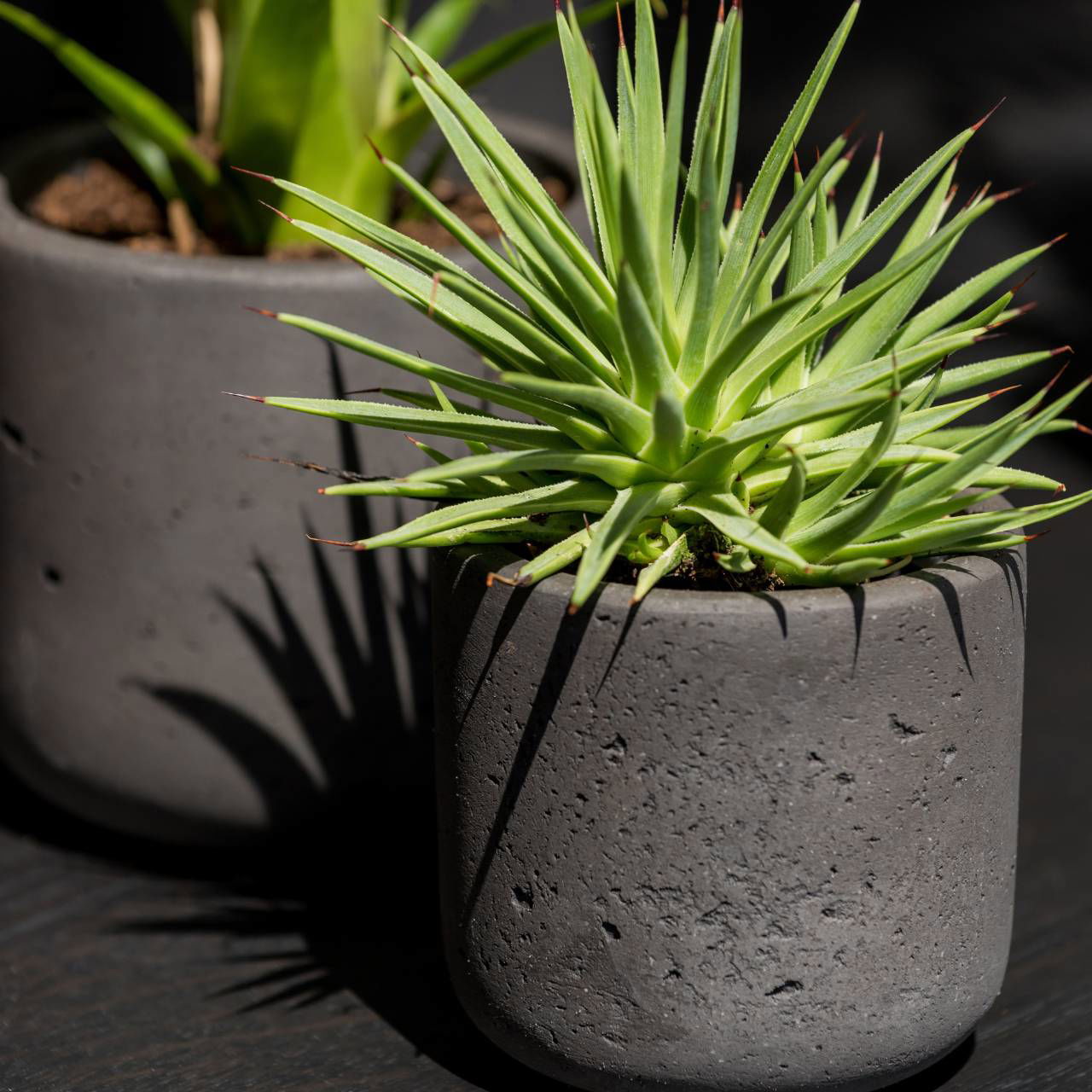Fiberclay flower pot black (W/H/D) 18x18x18cm