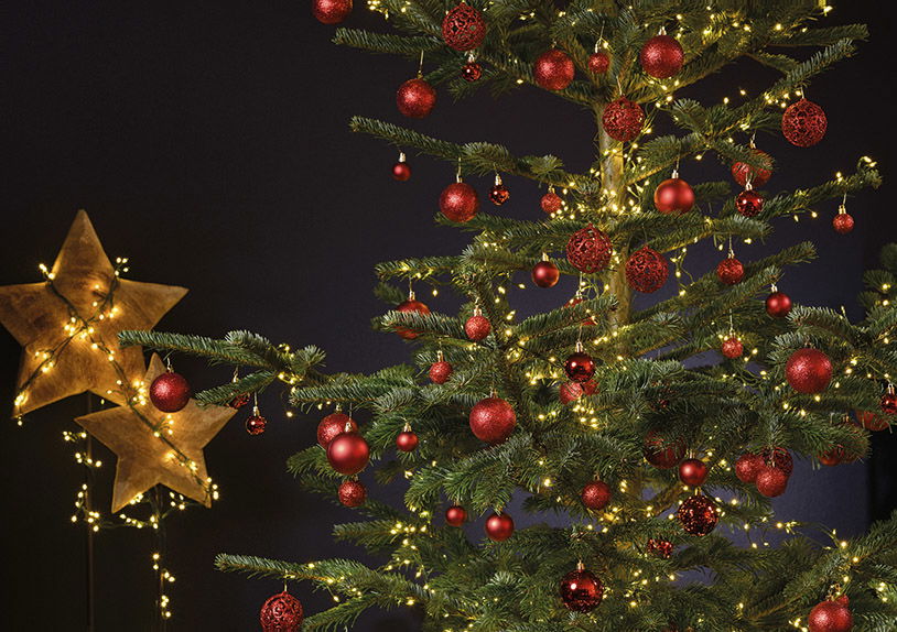 Pflanze, Baum, Weihnachten, Weihnachtsdekorationen, Festival