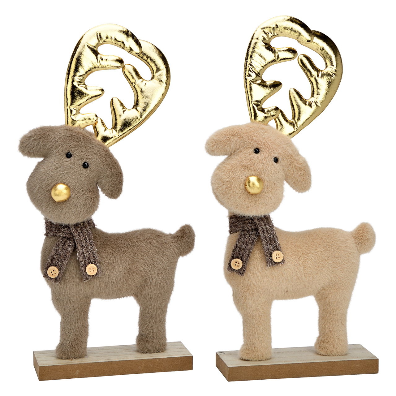 Tier, Bär, Säugetier, Tierwelt