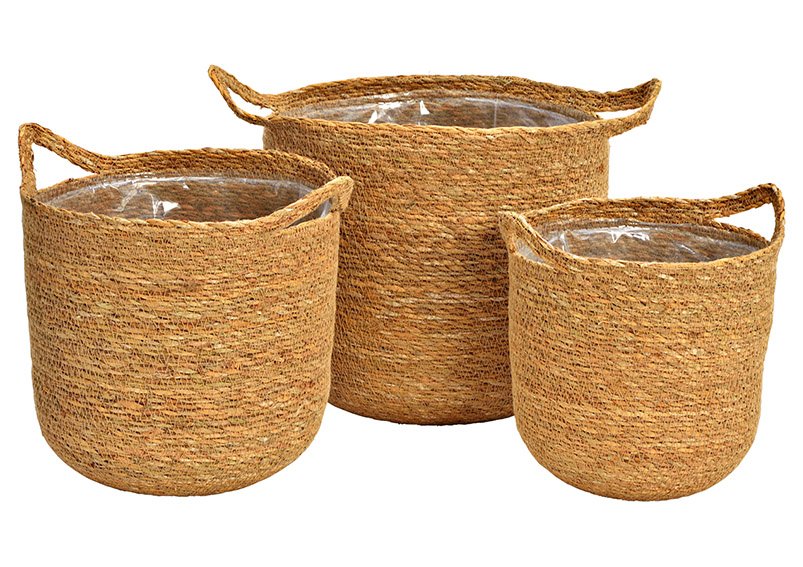 Set di 3 vasi da fiori in seagrass foderati con pellicola, materiale naturale Set di 3, (L/H/D) 25x24x25cm 22x22x22cm 19x20x19cm