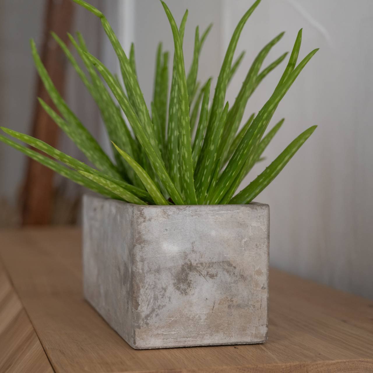 Cement flower pot natural (W/H/D) 48x12x8cm