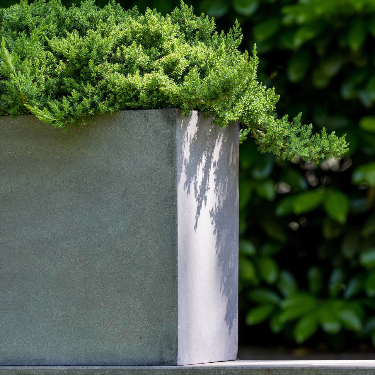 Fiberstone flower pot gray (W/H/D) 80x40x30cm