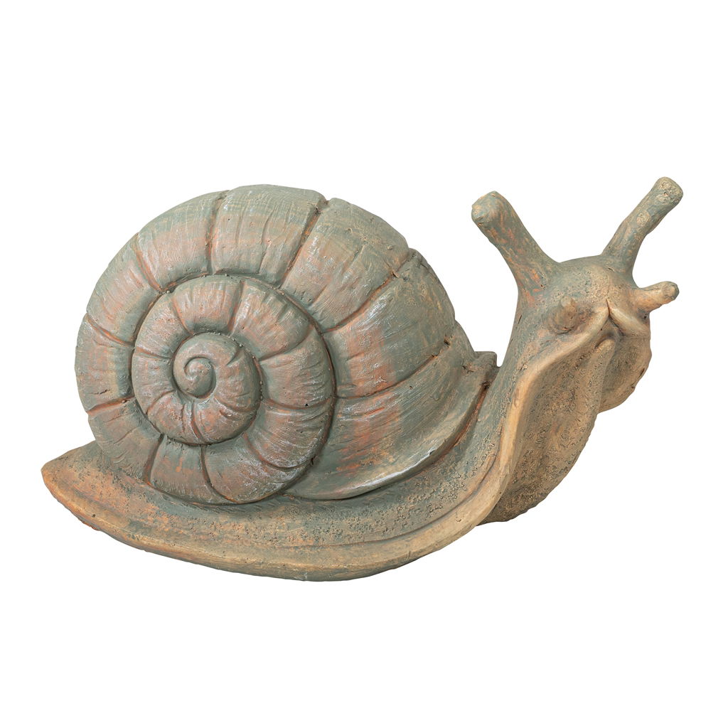 Tier, Wirbelloses Tier, Schnecke, Insekt
