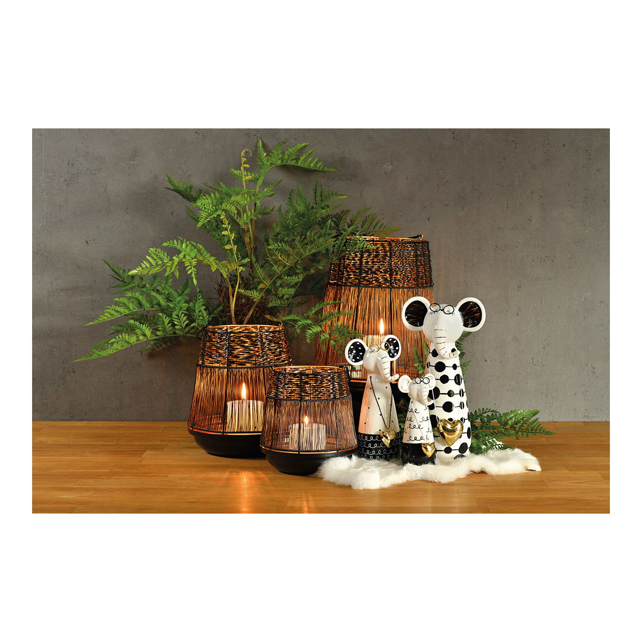 Holz, Pflanze, Pflanze im Topf, Vase, Innenarchitektur