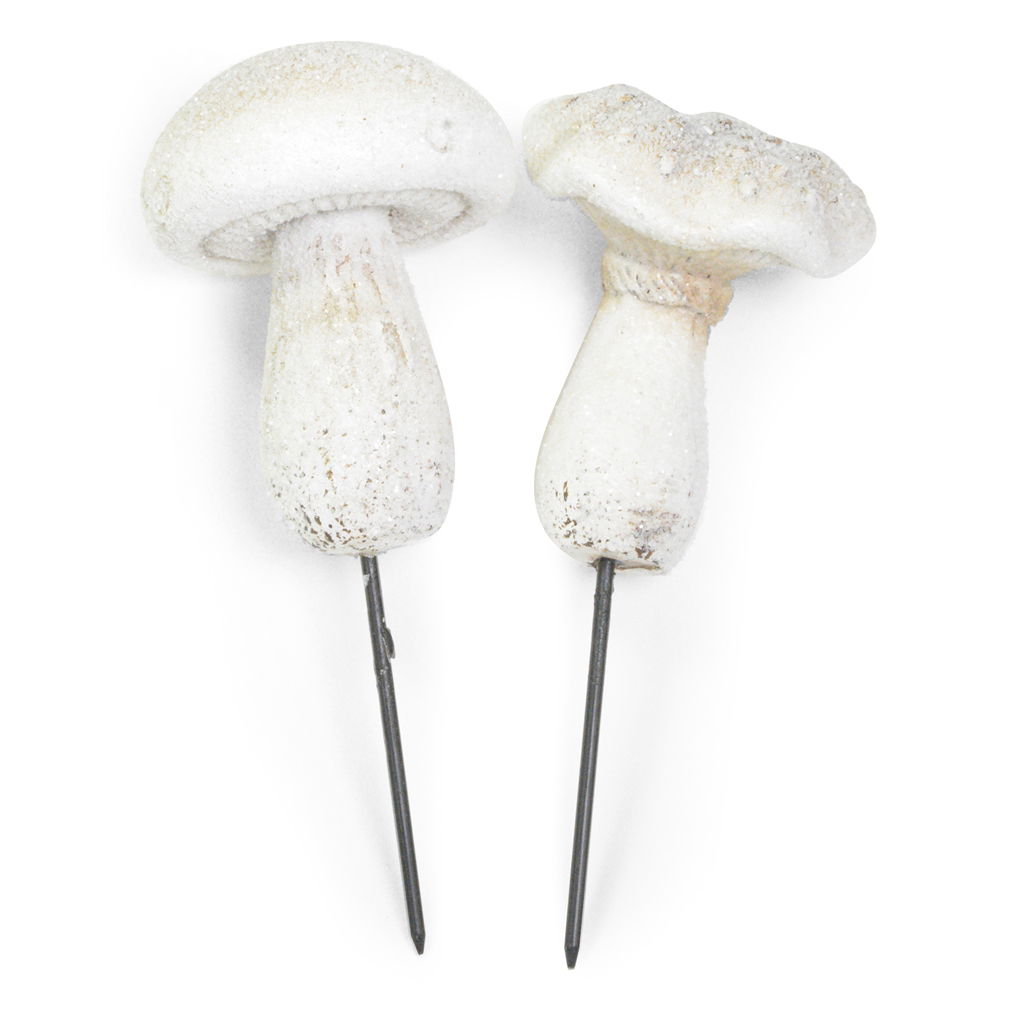 Colheita de cogumelos com neve, 2 tipos, polietileno, 6,5 x 6 x 18 cm, 1 unidade, branco-creme Fungus, Pflanze