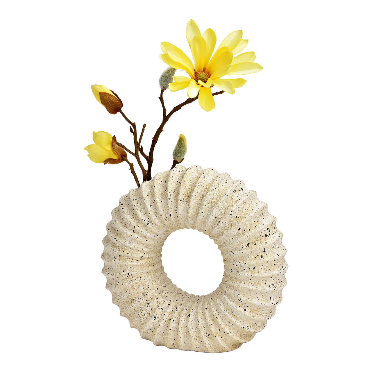 Blume, Blumen-Arrangement, Pflanze, Leben im Meer, Muschel