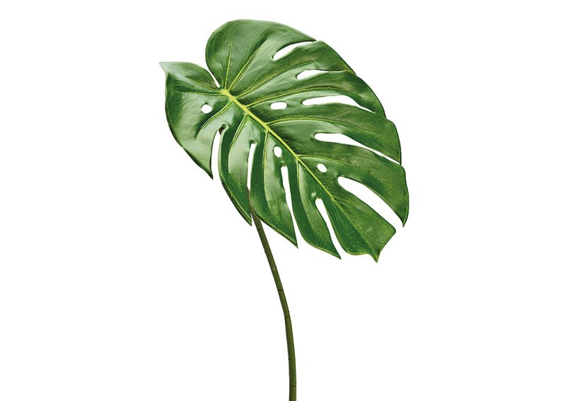 Fiore artificiale Split-Philo leaf plastica verde (W/H) 30x80cm