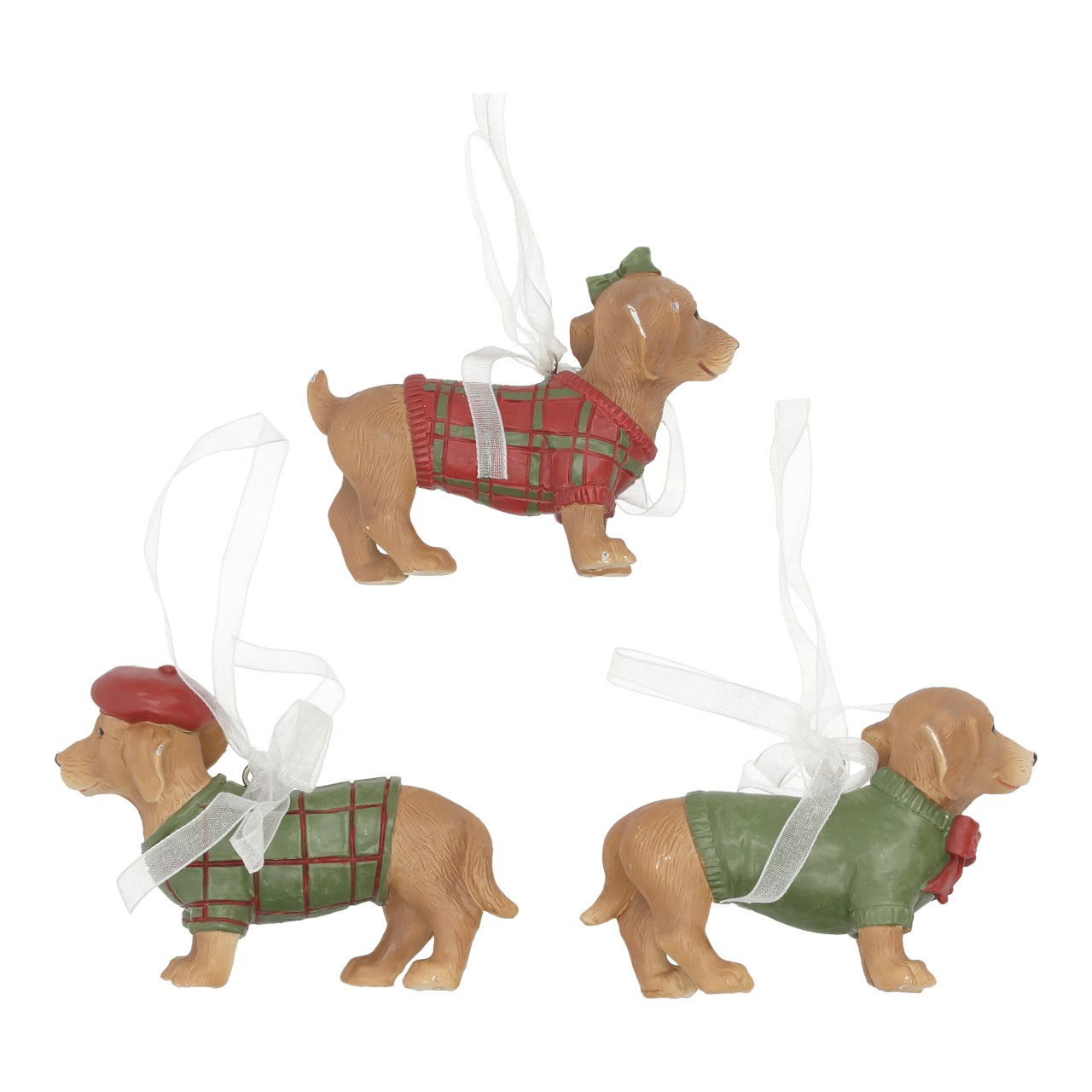 Tier, Hund, Säugetier, Haustier