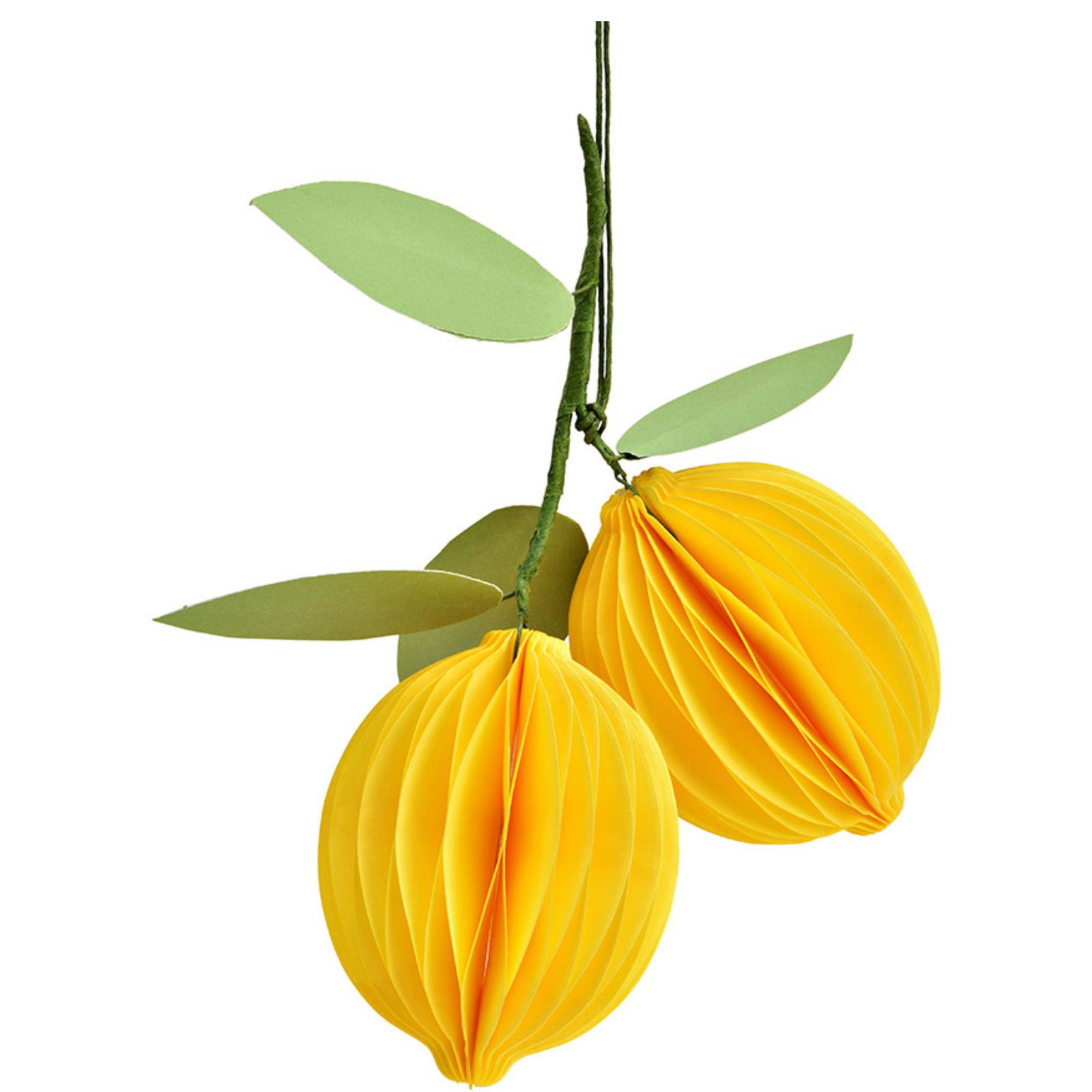 Blatt, Pflanze, Obst, Produzieren, Zitrusfrüchte