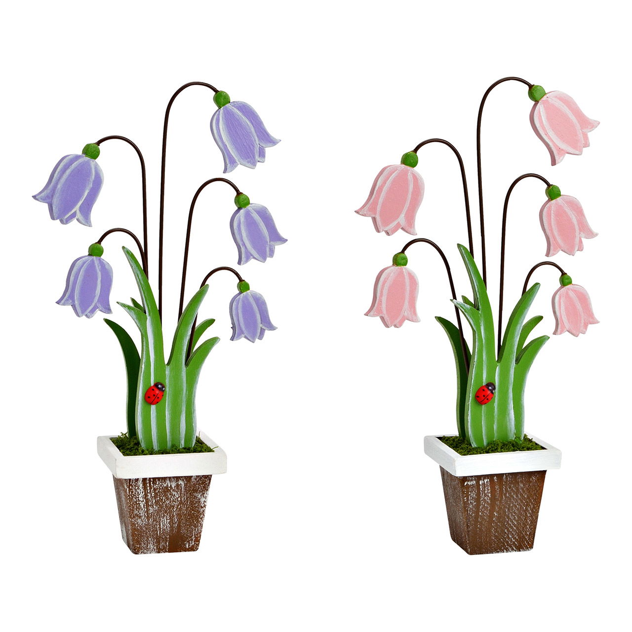 Blume, Pflanze, Blumen-Arrangement