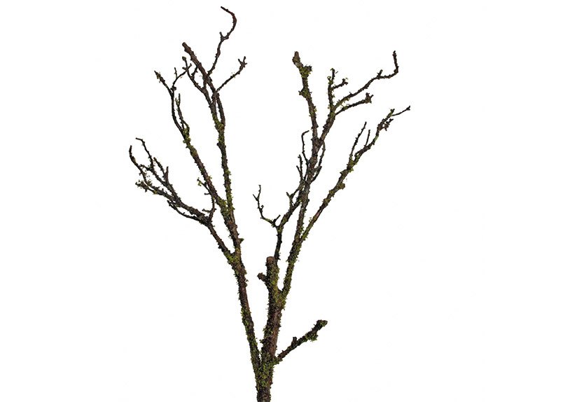 Branche avec mousse Brun vert (H) 71cm