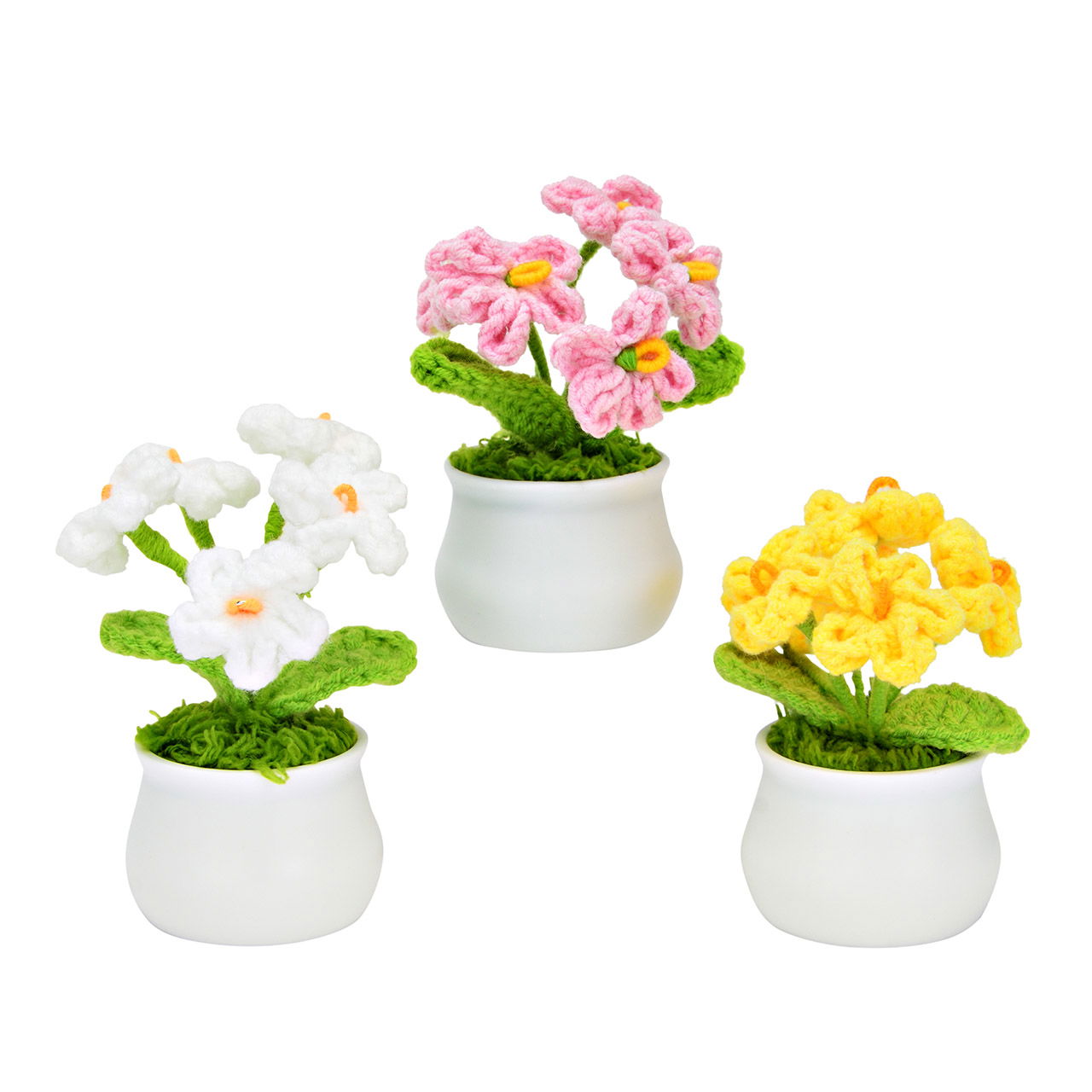 Pflanze, Pflanze im Topf, Blume, Geranie, Blumen-Arrangement
