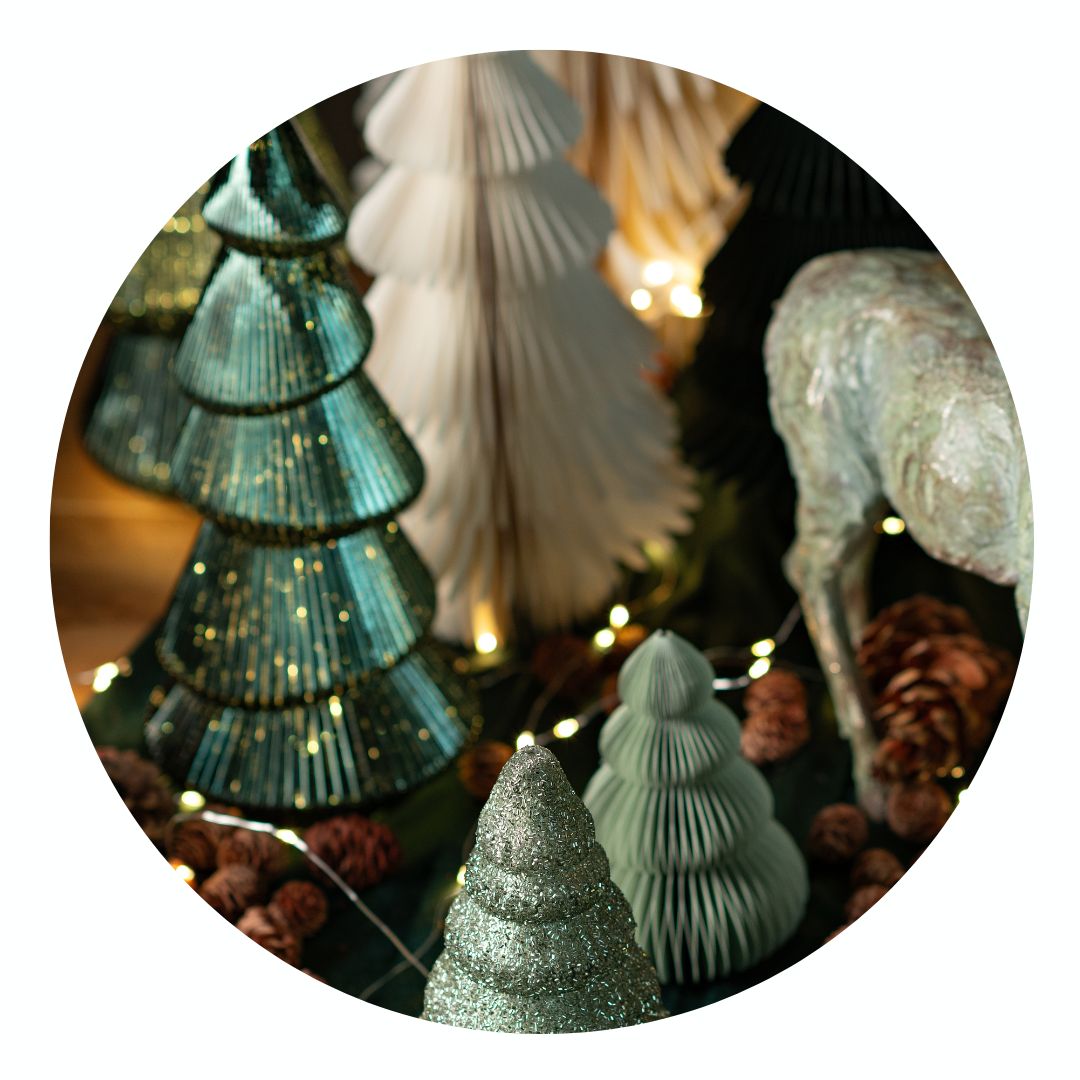 Tier, Wirbelloses Tier, Leben im Meer, Muschel