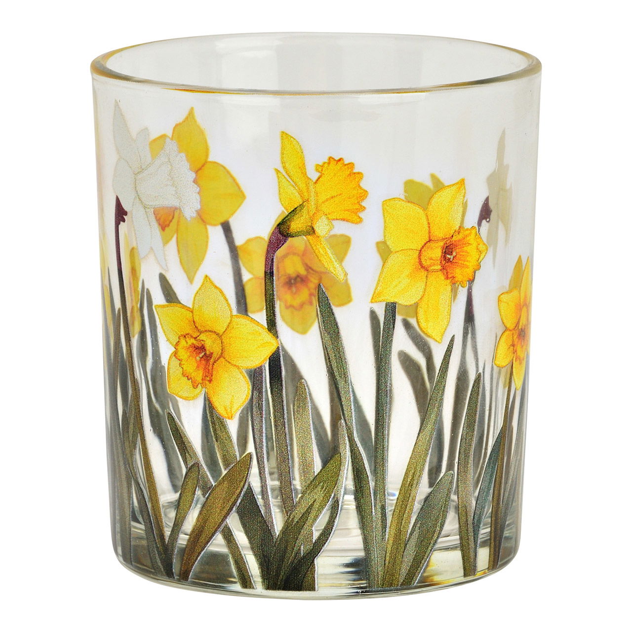 Narzisse, Blume, Tasse, Glas, Einmachglas