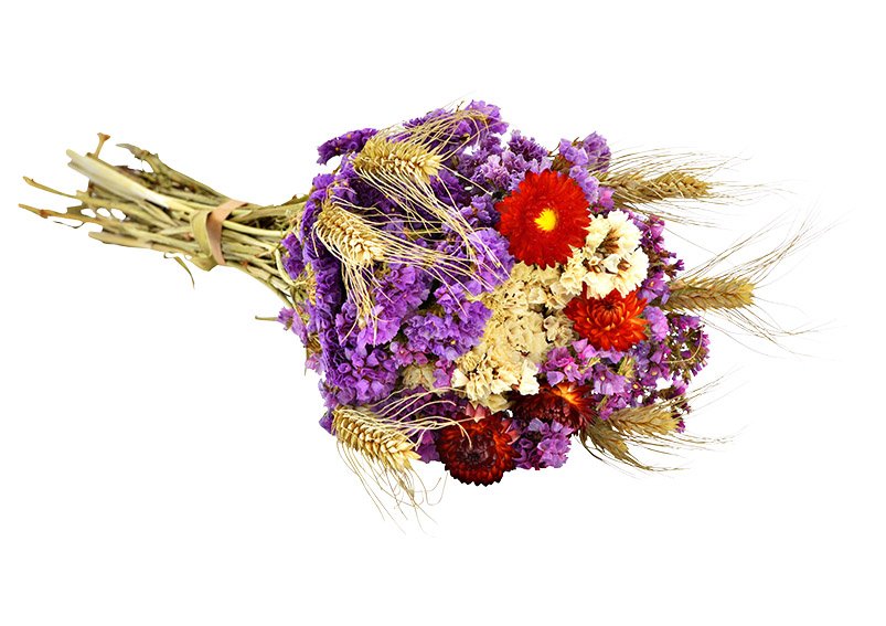 Bouquet de fleurs séchées Dutch en matière naturelle Multicolore (H) 55cm