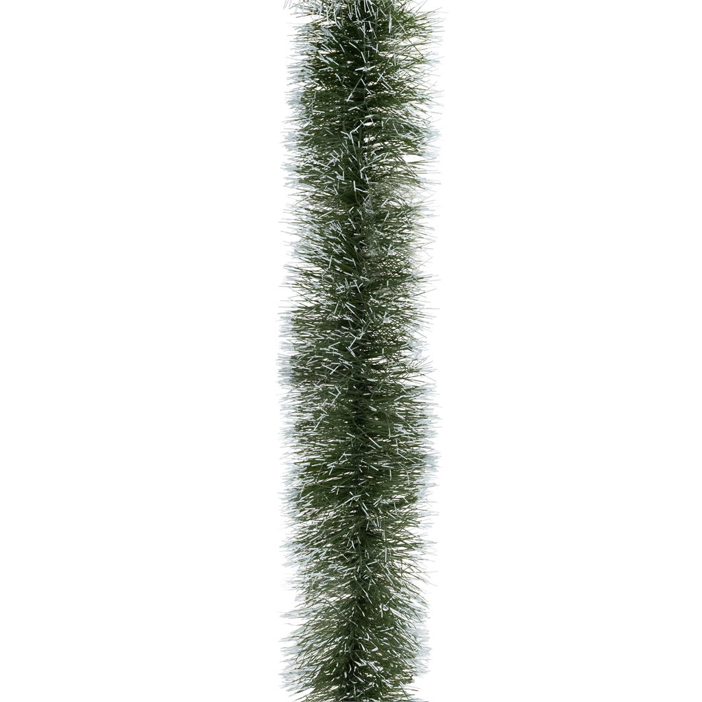 Pflanze, Baum, Dekoration für Zuhause