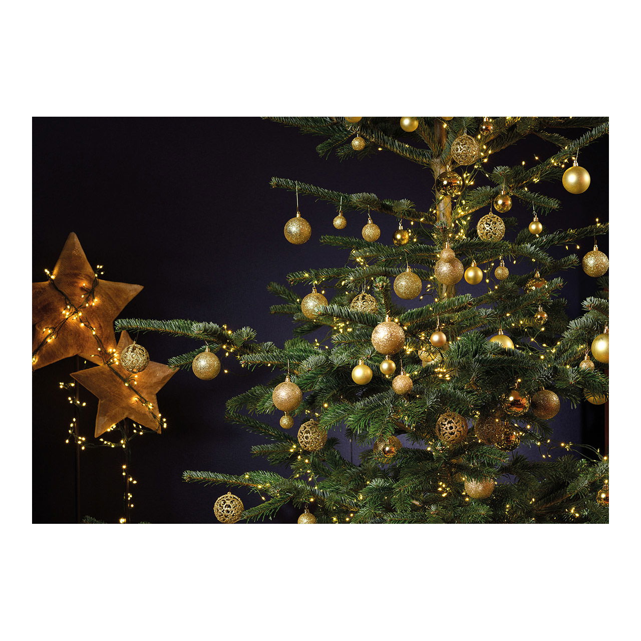 Pflanze, Baum, Weihnachtsdekorationen, Festival, Weihnachtsbaum