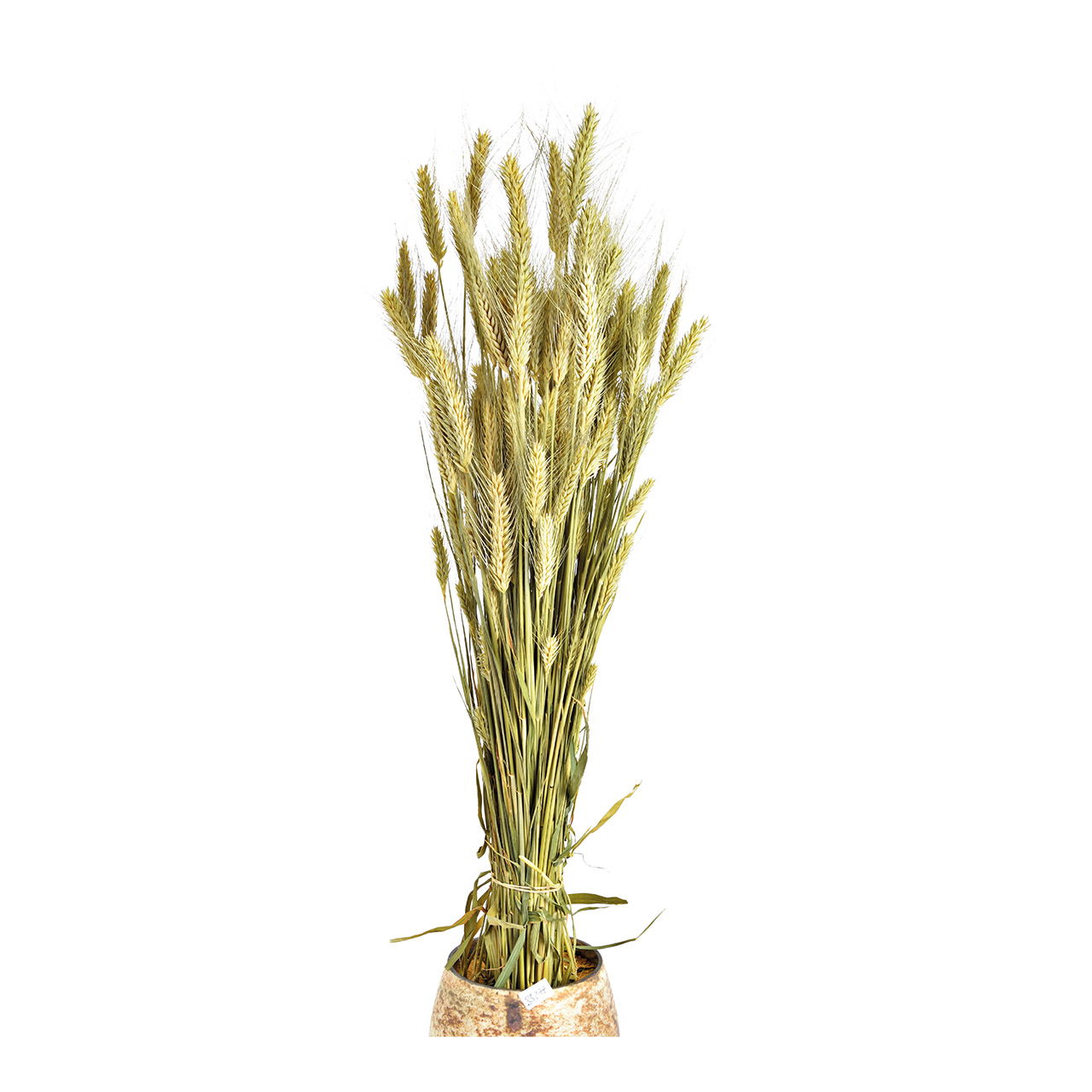 Trockenblumenstrauß Triticale aus Naturmaterial (H) 50cm