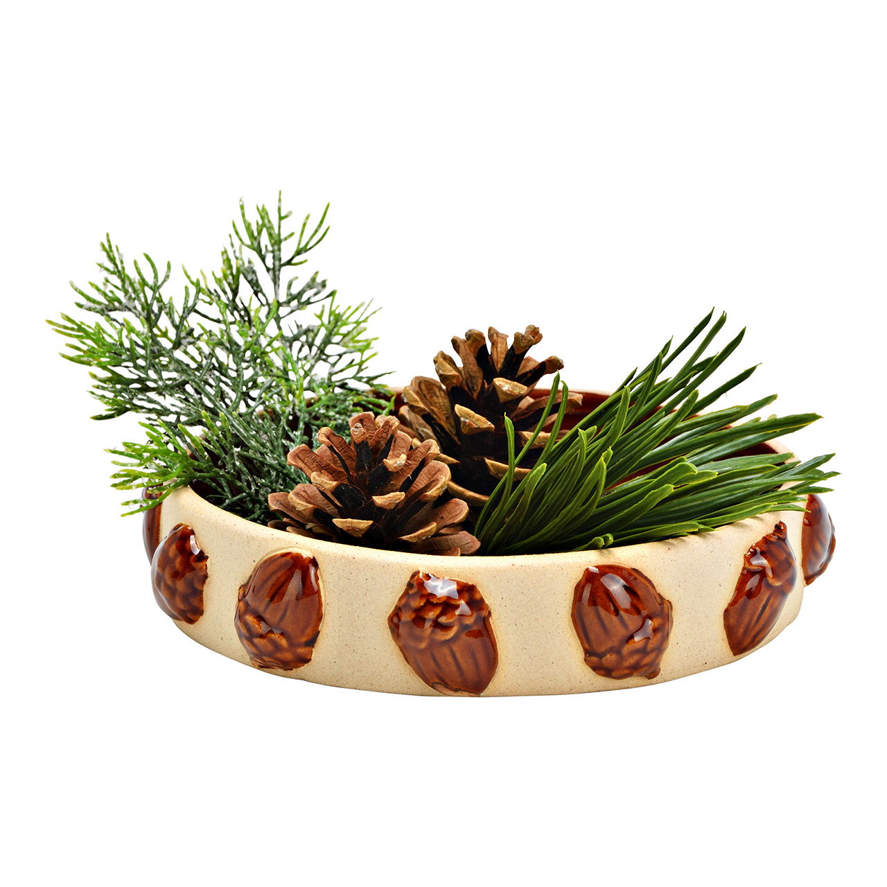 Pflanze, Pflanze im Topf, Pflanzgefäß, Baum, Kräuterig