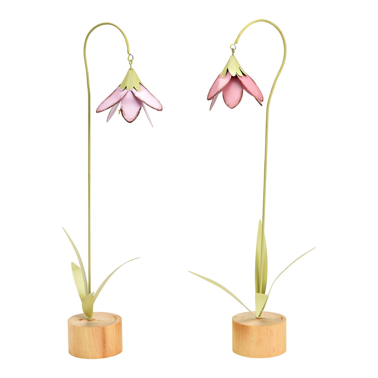 Blume, Pflanze, Blumen-Arrangement, Ikebana