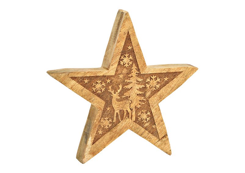 Étoile avec décor d'hiver en bois de manguier naturel (L/H/P) 25x25x4cm