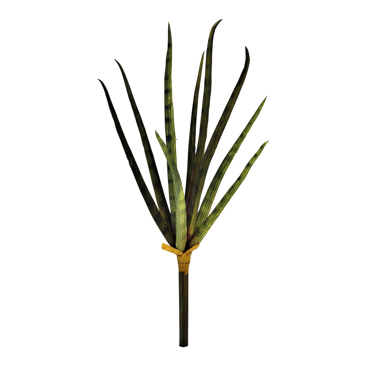 Fleur artificielle Sanseveria en plastique vert (H) 27cm