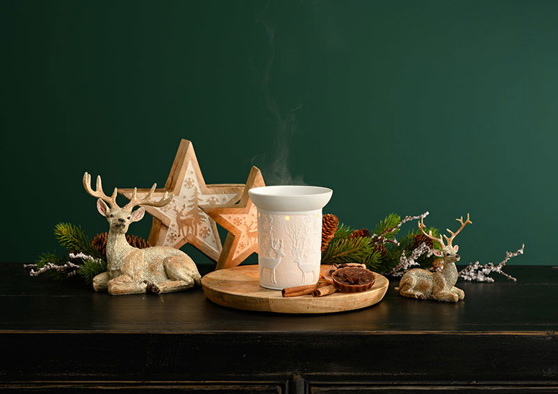 Ster met winterdecoratie van natuurlijk mangohout, wit (B/H/D) 25x25x4cm Ster met winterdecoratie van natuurlijk mangohout, wit (B/H/D) 25x25x4cm