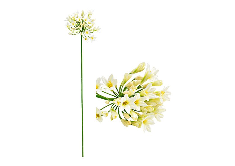 Fleur artificielle Agapanthe en plastique crème (H) 75cm