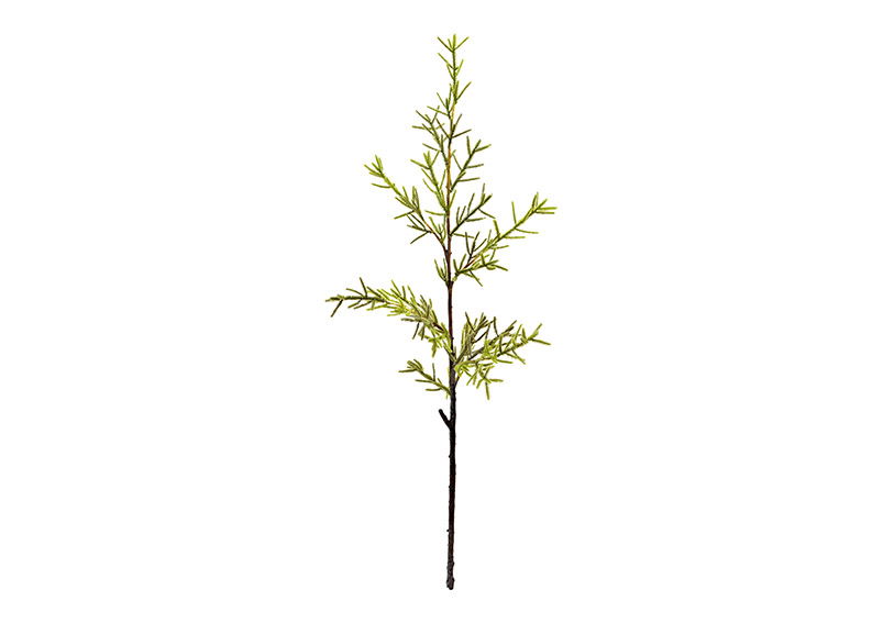 Fleur artificielle branche de santoline en plastique vert (H) 75cm