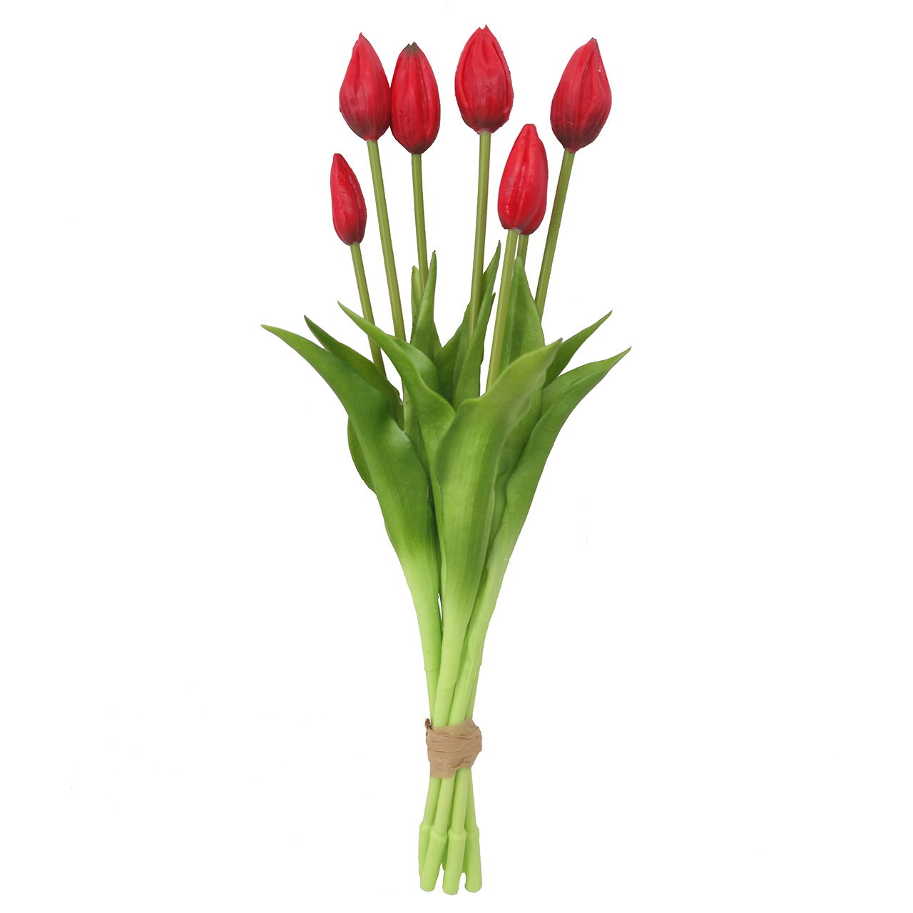 Blume, Pflanze, Tulpe, Blumen-Arrangement