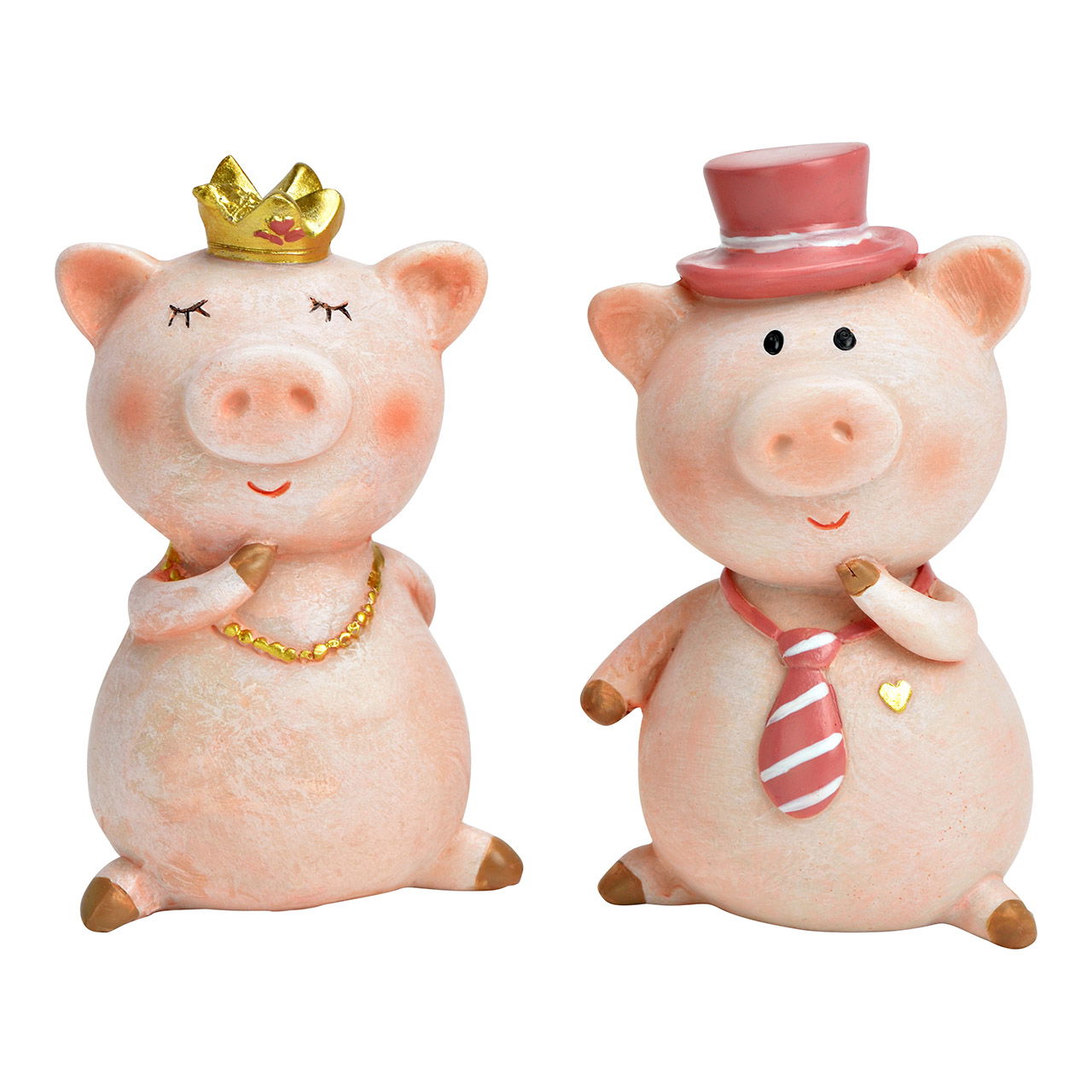 Tier, Säugetier, Schwein