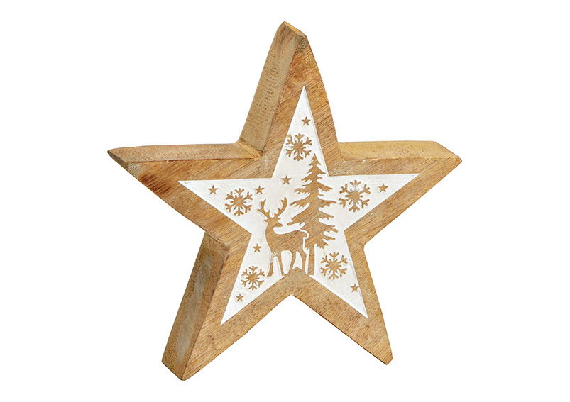 Ster met winterdecor van mangohout naturel, wit (B/H/D) 15x15x4cm