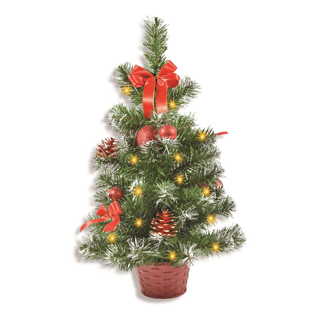 Pflanze, Baum, Weihnachtsdekorationen, Festival, Weihnachtsbaum