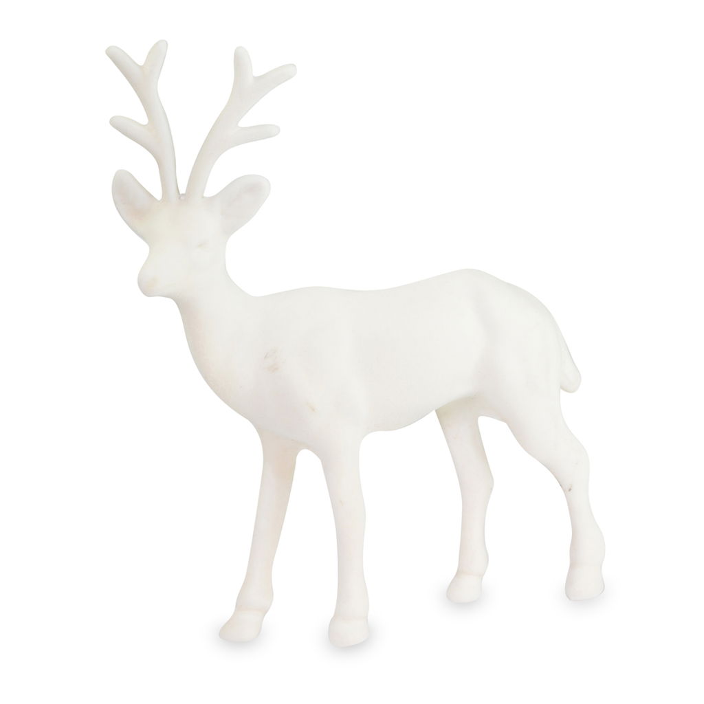 Tier, Hirsch, Säugetier, Tierwelt, Antilope