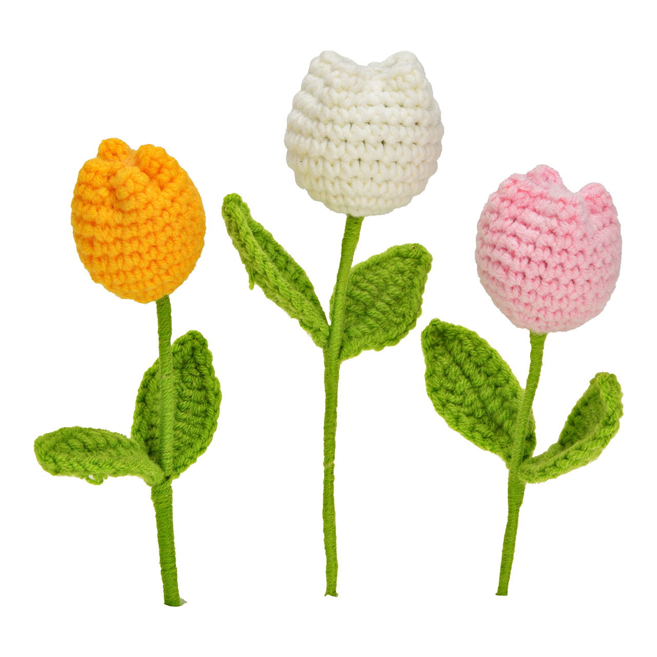 Blatt, Pflanze, Blume, Gänseblümchen