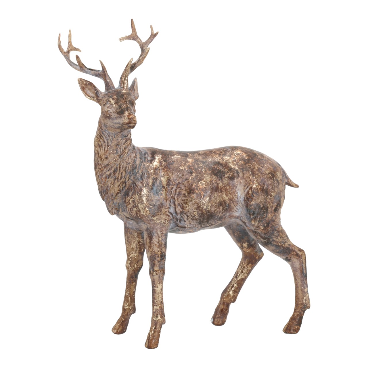 Hirsch, Säugetier, Tierwelt, Elch, Antilope