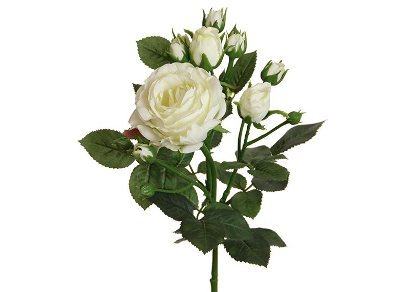 Künstliche Blumen Englisch Blüte, Knospen aus Kunststoff Weiß (H) 62cm