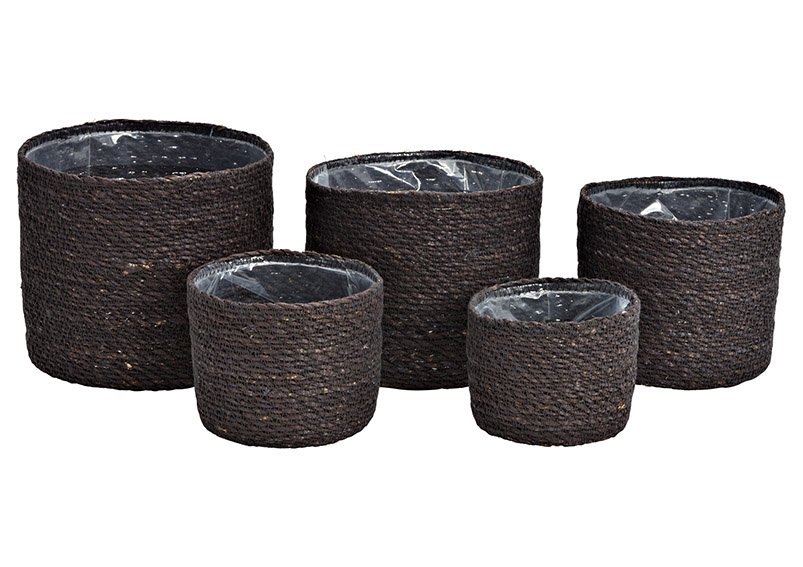 Flowerpot set of seaweed lined with foil, natural material black set of 5, (W/H/D) 20x18x20cm 18x16x18cm 16x14x16cm 14x12x14cm 12x10x12cm 20x18x20cm 4007698396305 18x16x18cm 4007698396268 16x14x16cm 4007698396275 14x12x14cm 4007698396282 12x10x12cm 4