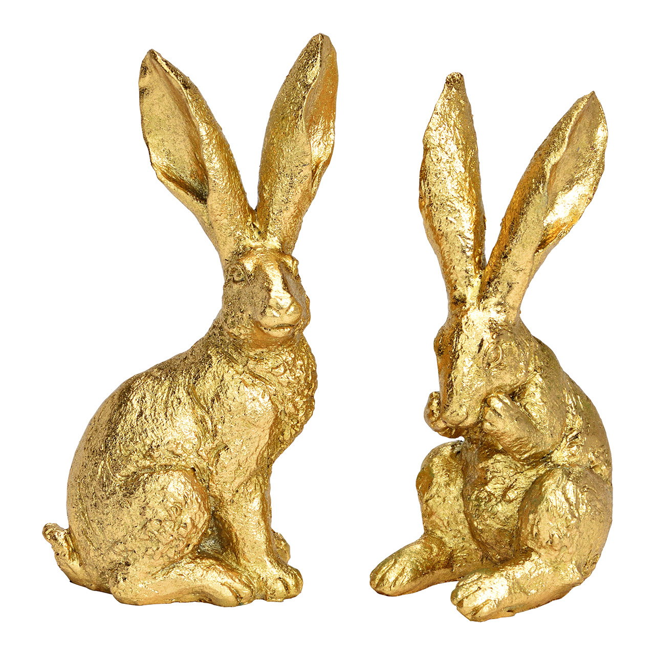 Tier, Hase, Säugetier, Nagetier
