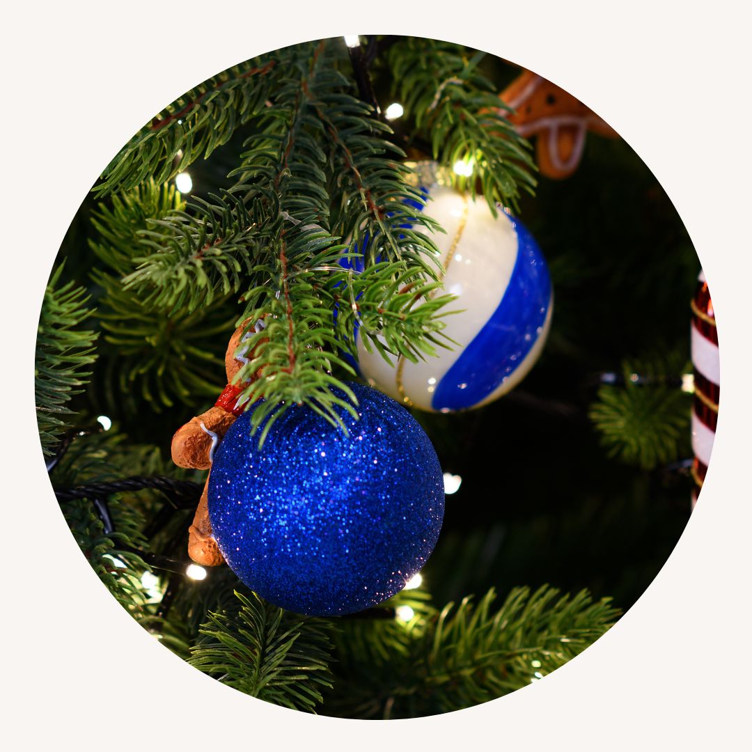 Pflanze, Baum, Sphäre, Weihnachtsdekorationen, Zubehör