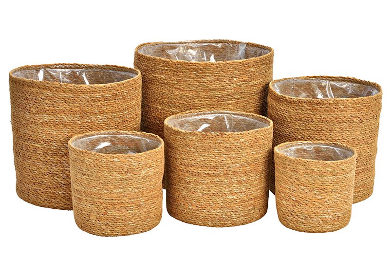 Set di 6 vasi da fiori in seagrass foderati con pellicola, naturale Set di 6, (L/H) 28x28cm 25x25cm 22x22cm 20x18cm 17x16cm 14x14cm