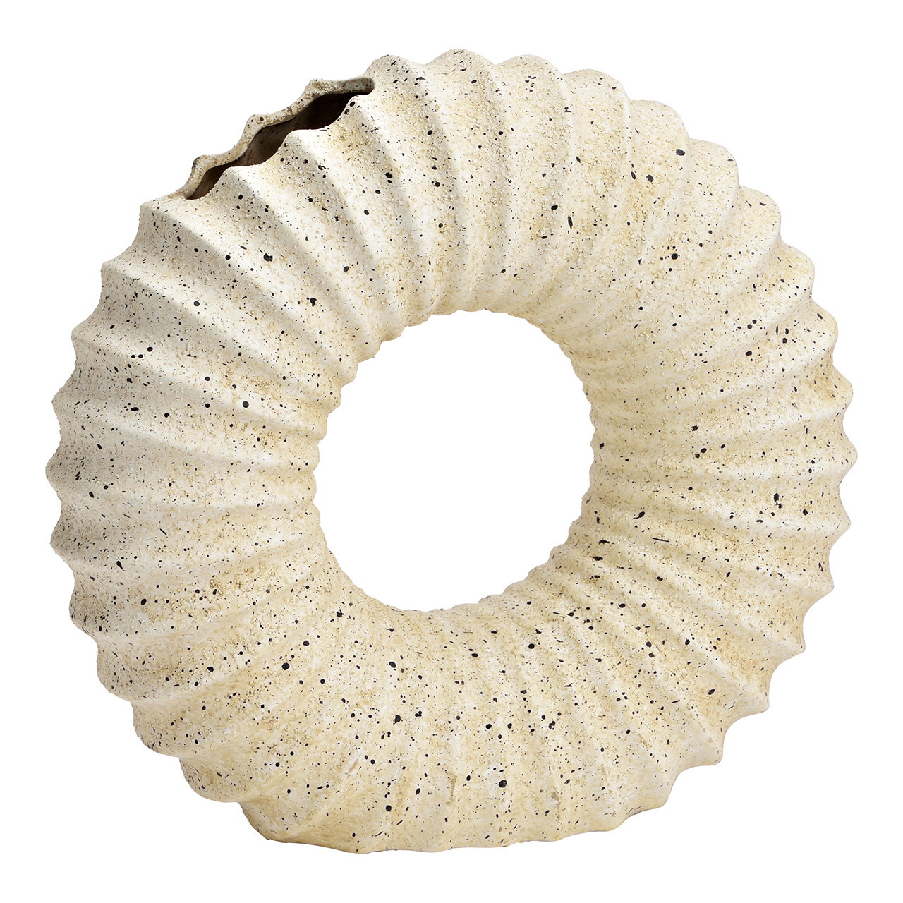 Jarrón de cerámica, blanco (A/A/P) 25x23x9cm Tier, Wirbelloses Tier, Leben im Meer, Muschel