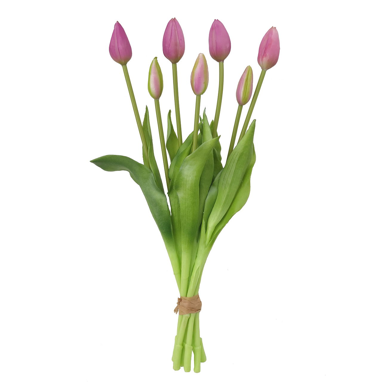 Blume, Pflanze, Blumen-Arrangement, Blumenstrauß, Tulpe