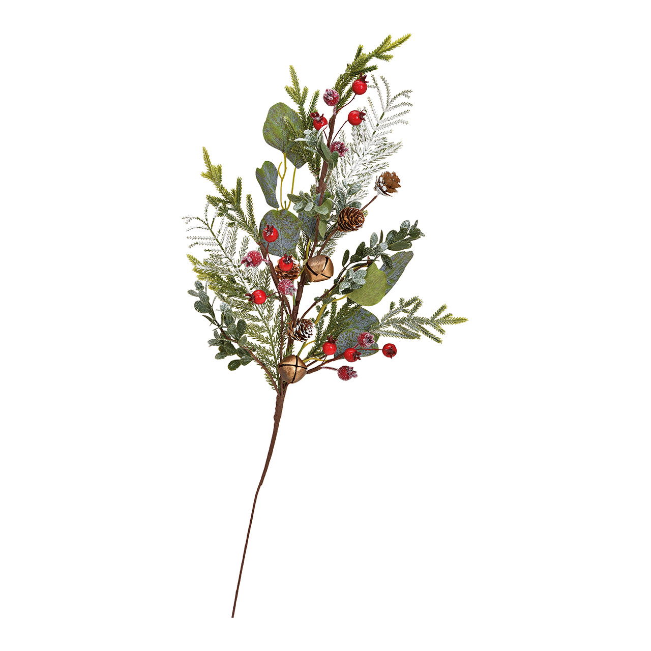 Blumen-Arrangement, Pflanze, Blatt, Kräuterig, Blumenstrauß