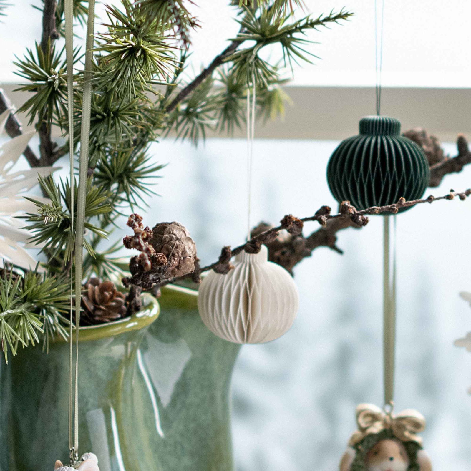 Pflanze, Weihnachten, Weihnachtsdekorationen, Festival