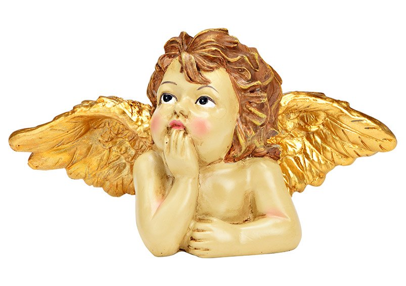 Testa di angelo in poli-oro (L/H/D) 17x10x6cm