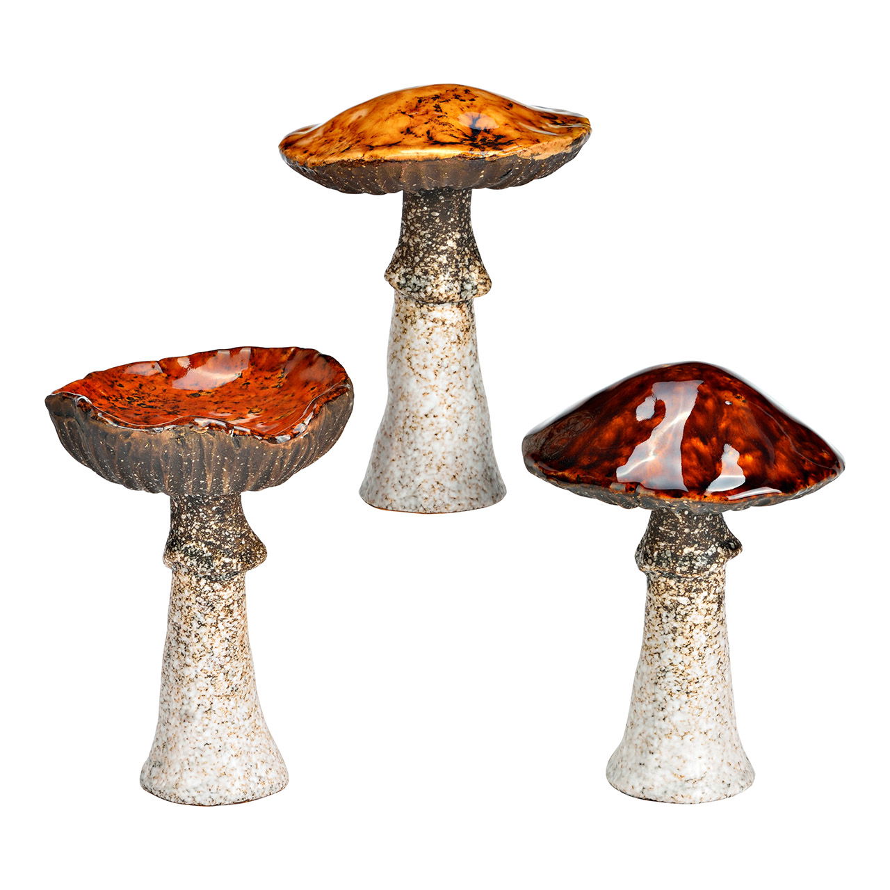 Pilz, Pflanze, Agarisch