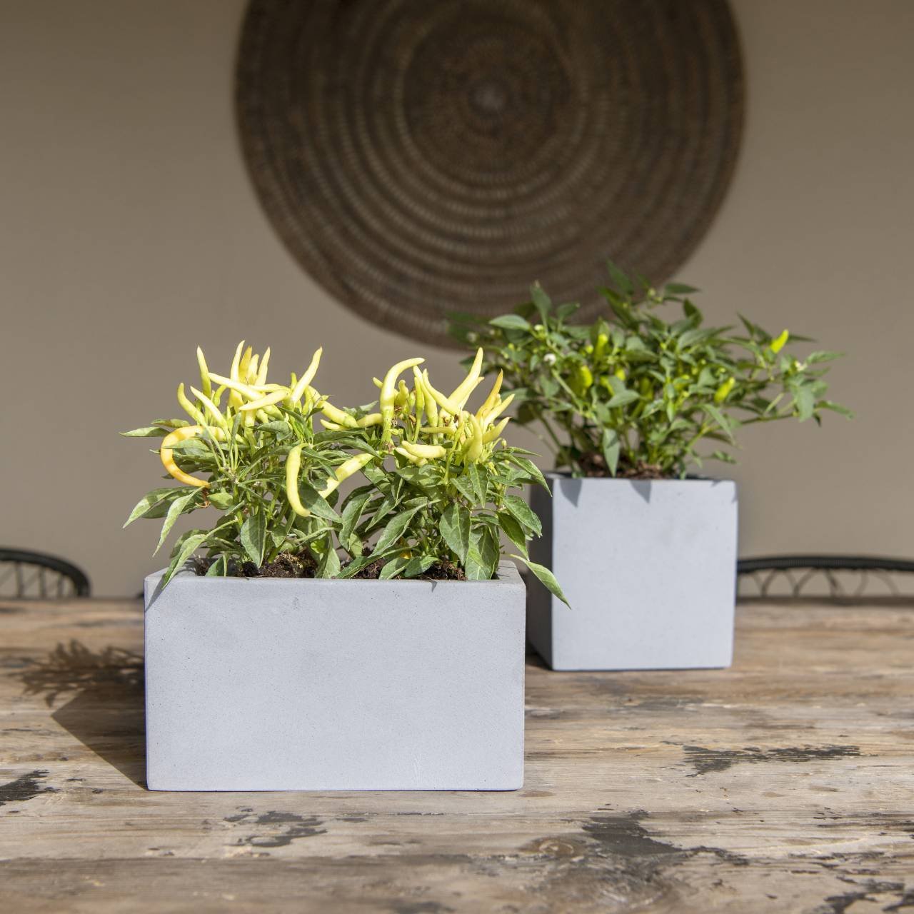 Fiberstone flower pot gray (W/H/D) 15x15x15cm